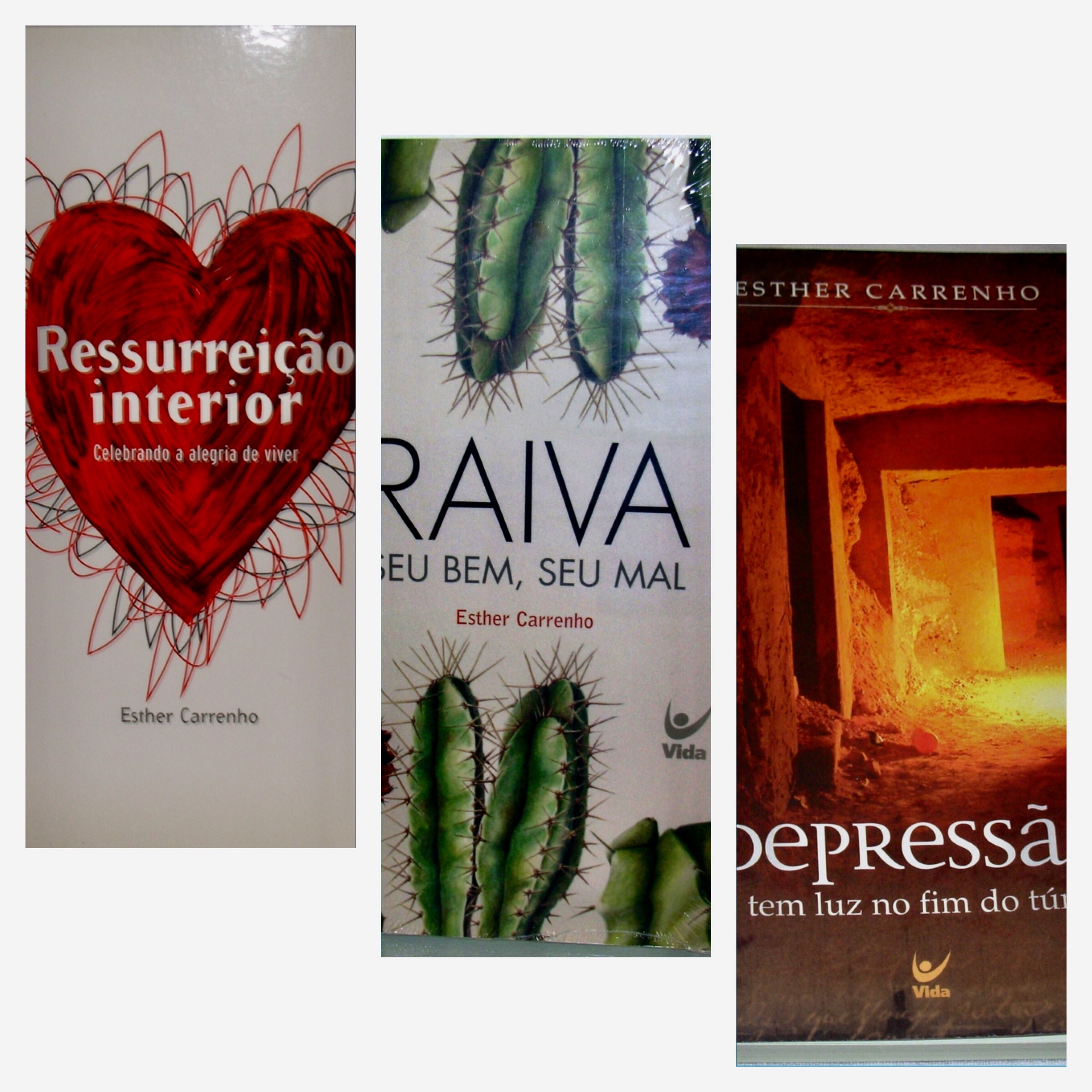 OS LIVROS NA MINHA VIDA